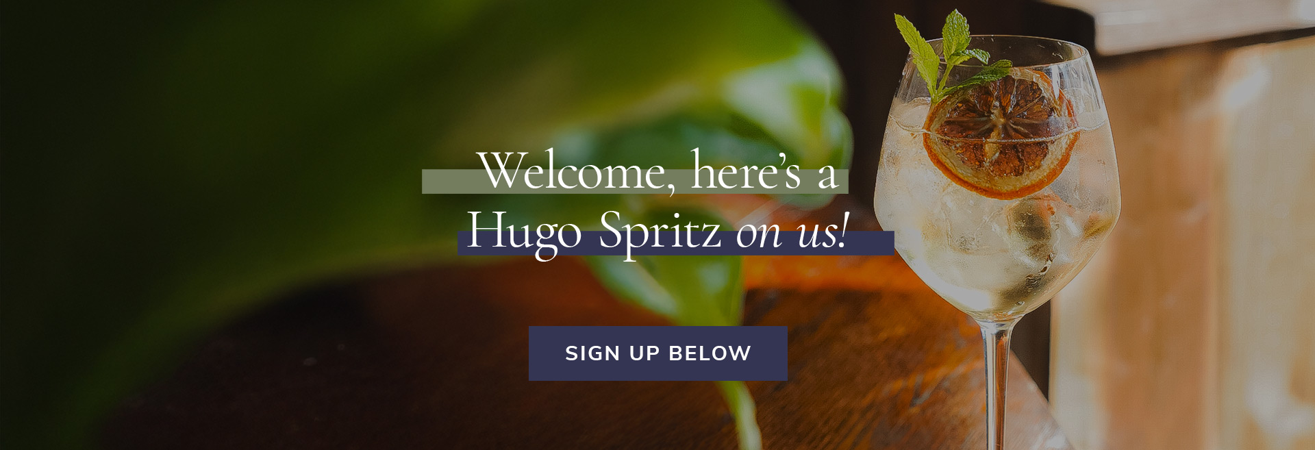 Sign up to the newsletter at The Botanist on the Green